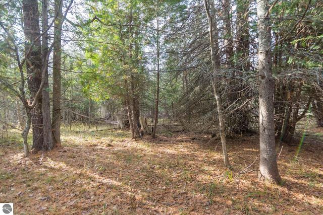 0000 E Bellinger Road, Cedar, MI 49621