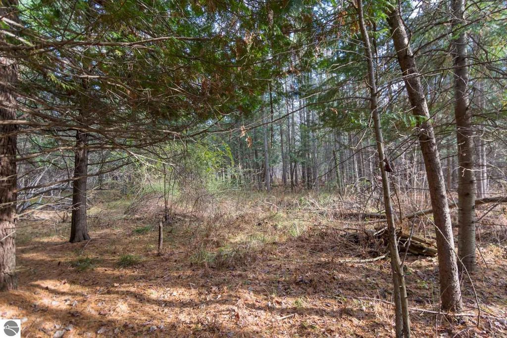 Image 10 of property listing at 0000 E Bellinger Road, Cedar, MI 49621