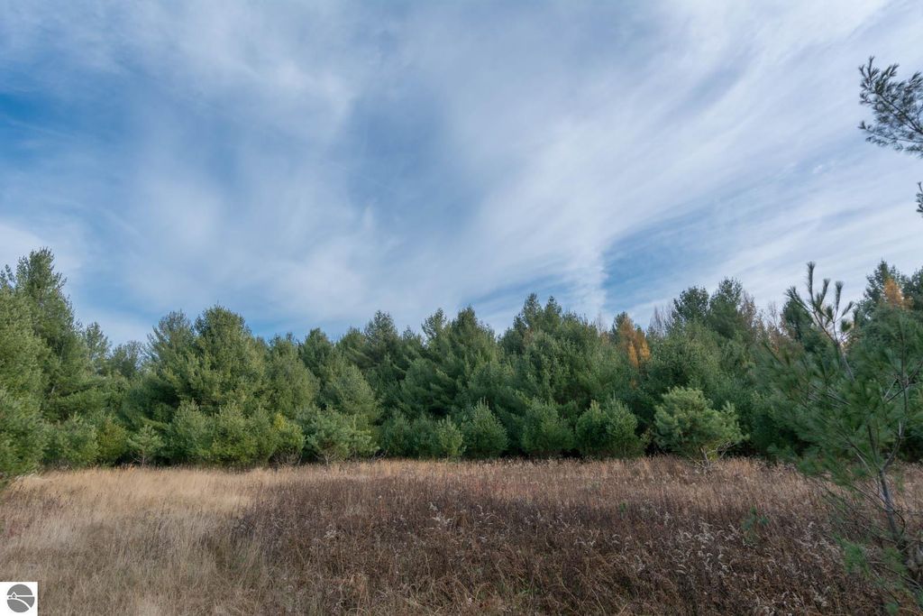 Image 12 of property listing at 0000 E Bellinger Road, Cedar, MI 49621