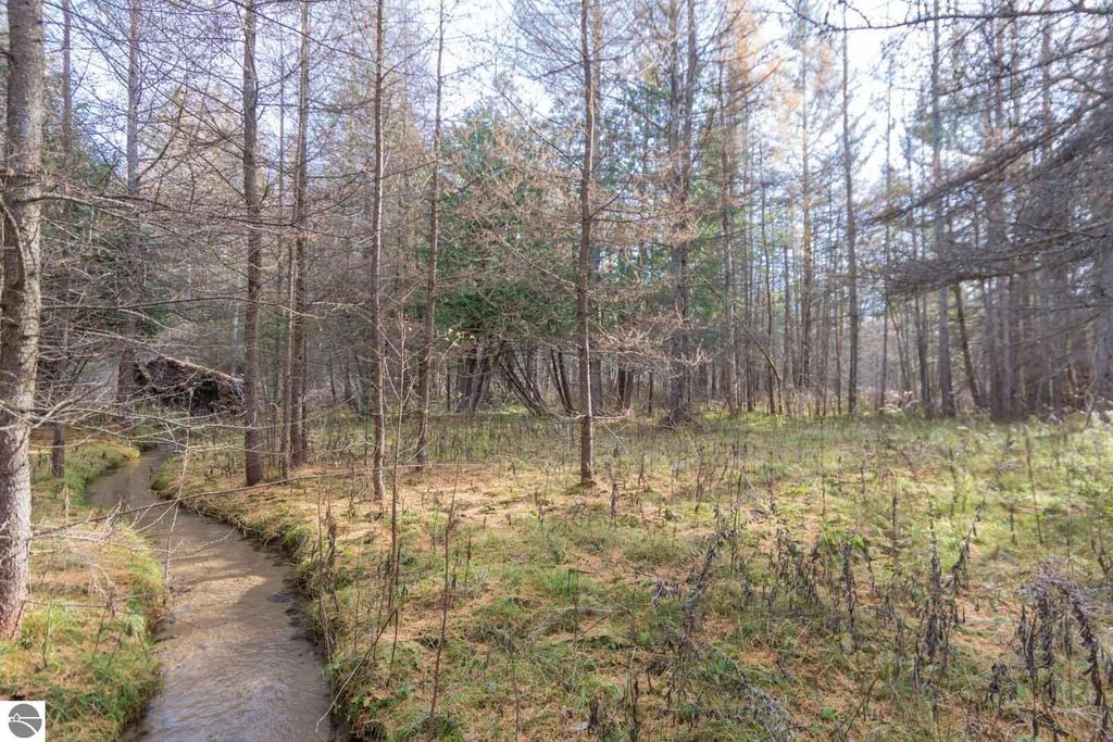 Image 13 of property listing at 0000 E Bellinger Road, Cedar, MI 49621