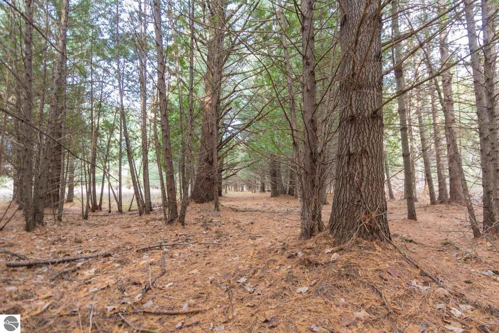 Image 15 of property listing at 0000 E Bellinger Road, Cedar, MI 49621