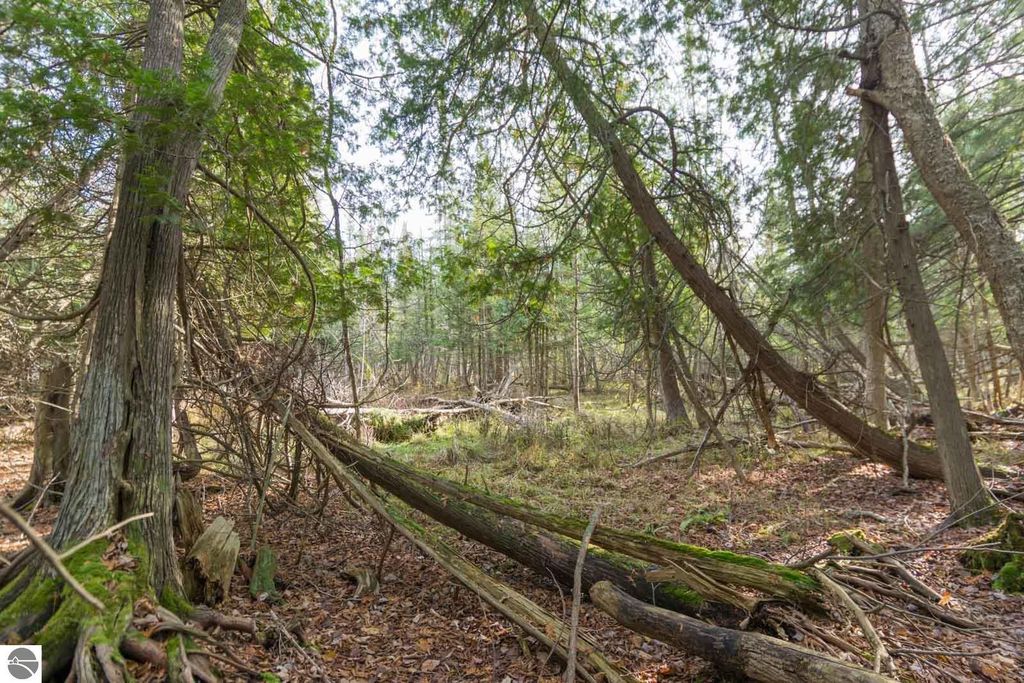 Image 16 of property listing at 0000 E Bellinger Road, Cedar, MI 49621