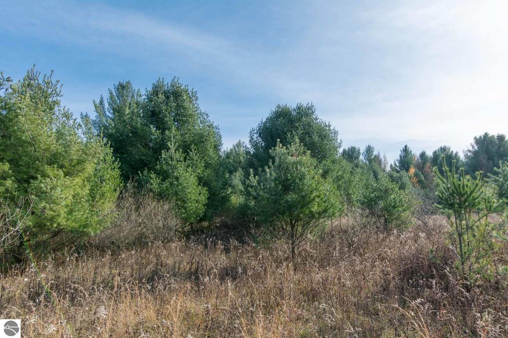Image 17 of property listing at 0000 E Bellinger Road, Cedar, MI 49621