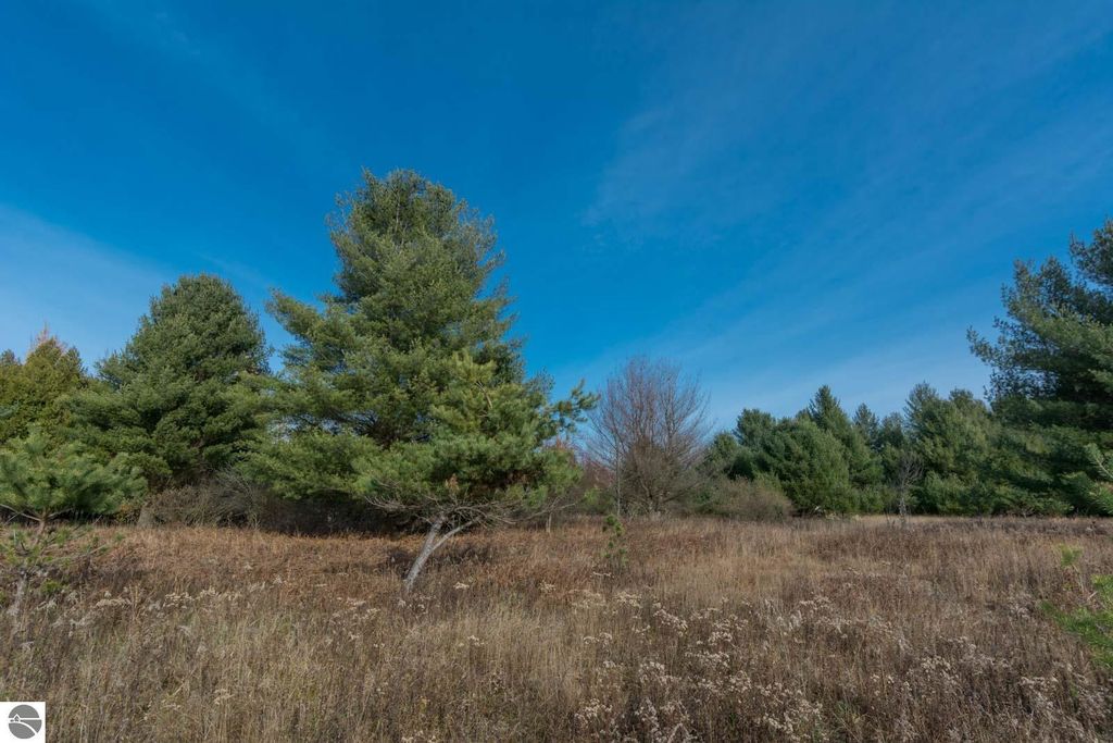 Image 3 of property listing at 0000 E Bellinger Road, Cedar, MI 49621