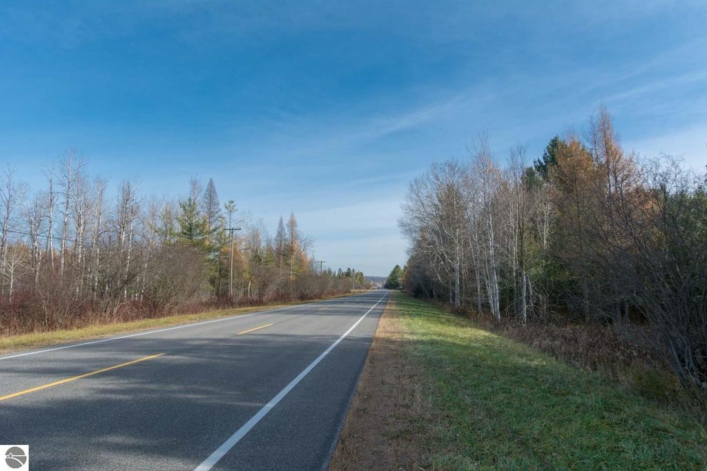 Image 5 of property listing at 0000 E Bellinger Road, Cedar, MI 49621