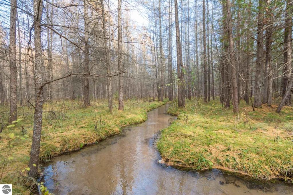 Image 7 of property listing at 0000 E Bellinger Road, Cedar, MI 49621
