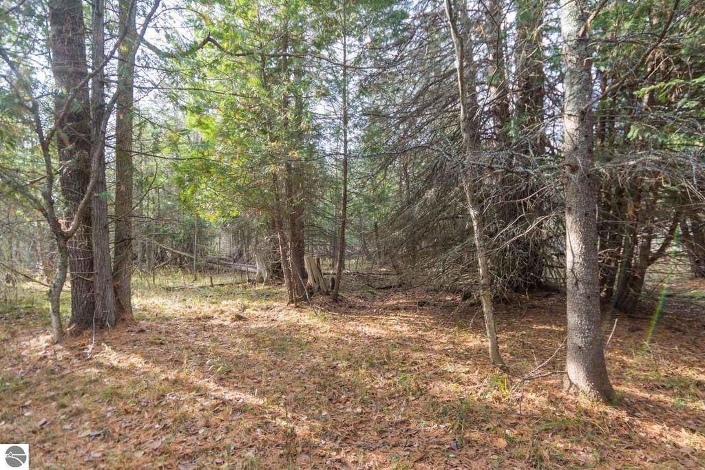 Image 8 of property listing at 0000 E Bellinger Road, Cedar, MI 49621