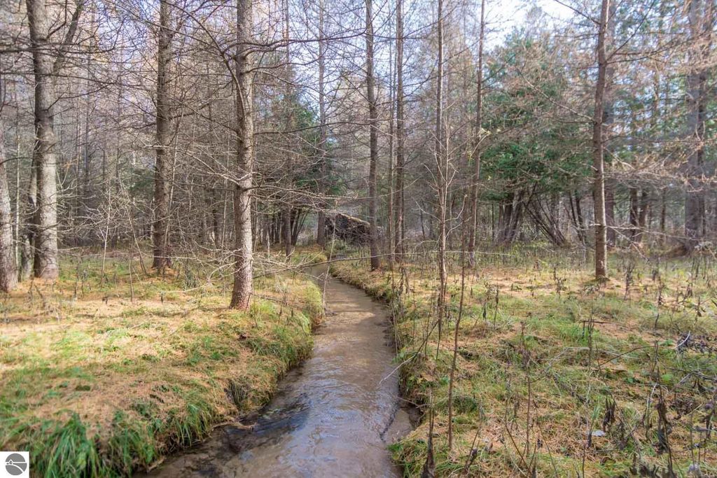Image 9 of property listing at 0000 E Bellinger Road, Cedar, MI 49621