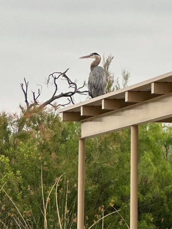 Image 6 of property listing at 1820 Shady Point Circle Drive, San Angelo, TX 76904