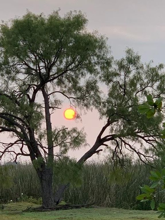 Image 61 of property listing at 1820 Shady Point Circle Drive, San Angelo, TX 76904