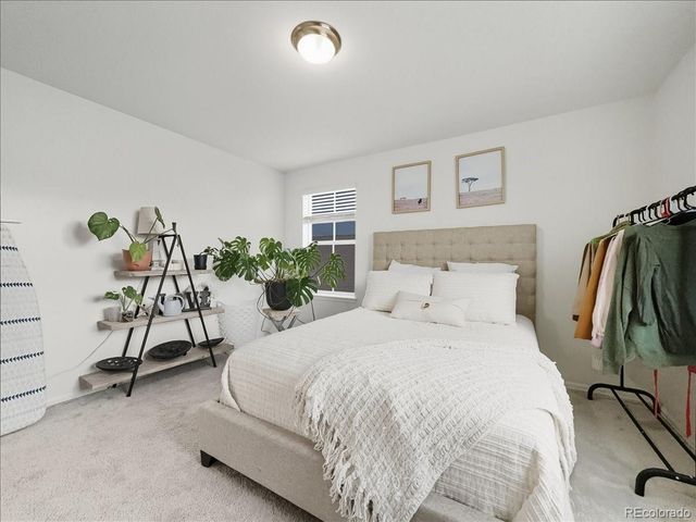 562 Vicot Way, Fort Collins, CO 80524