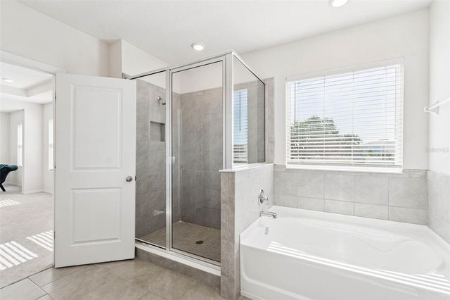 10749 TALLY FAWN LOOP, San Antonio, FL 33576