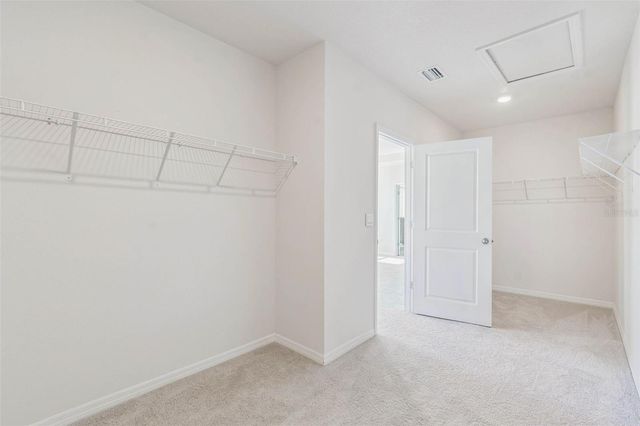 10749 TALLY FAWN LOOP, San Antonio, FL 33576