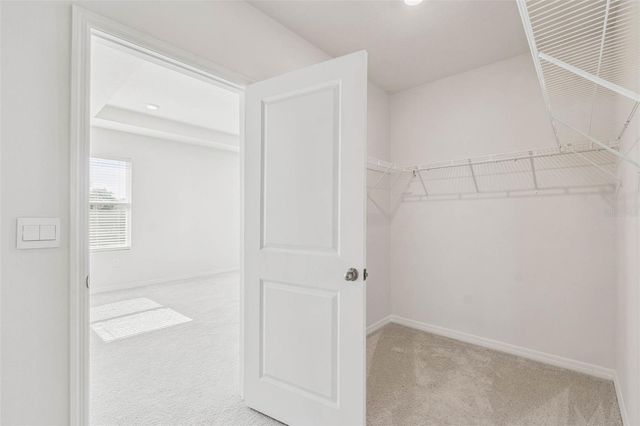 10749 TALLY FAWN LOOP, San Antonio, FL 33576