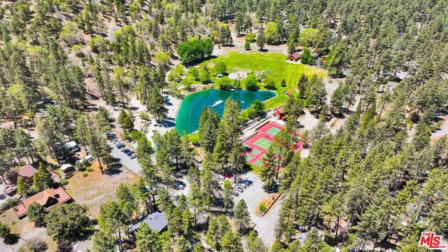 490 Lark Road, Wrightwood, CA 92397