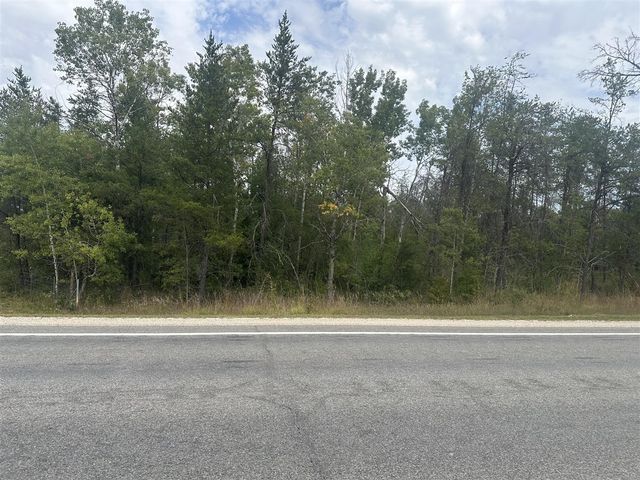 00 Spruce Road, Idlewild, MI 49642