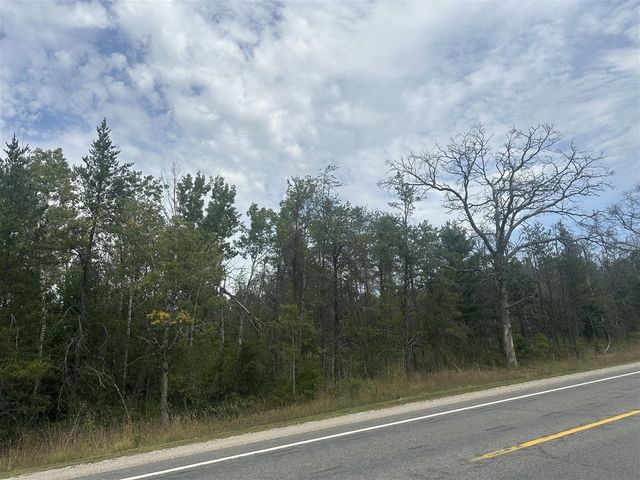 00 Spruce Road, Idlewild, MI 49642