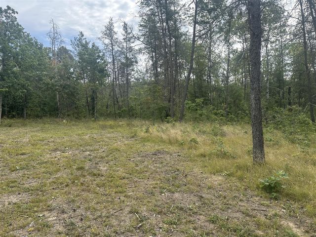 00 Spruce Road, Idlewild, MI 49642