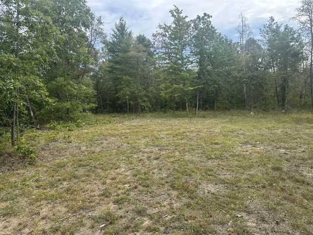 00 Spruce Road, Idlewild, MI 49642