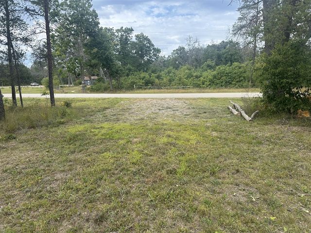 00 Spruce Road, Idlewild, MI 49642