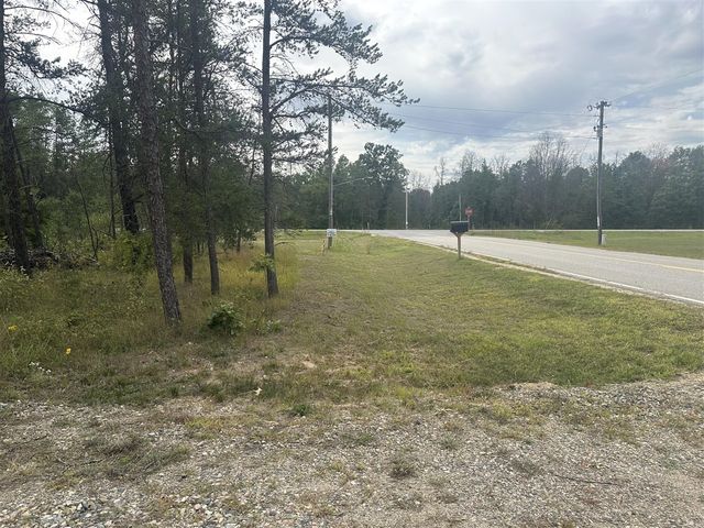 00 Spruce Road, Idlewild, MI 49642
