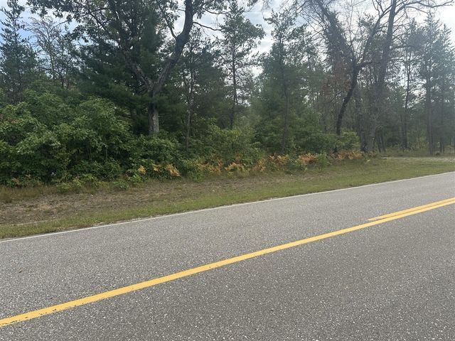 00 Spruce Road, Idlewild, MI 49642
