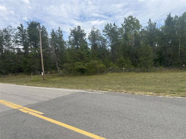 00 Spruce Road, Idlewild, MI 49642