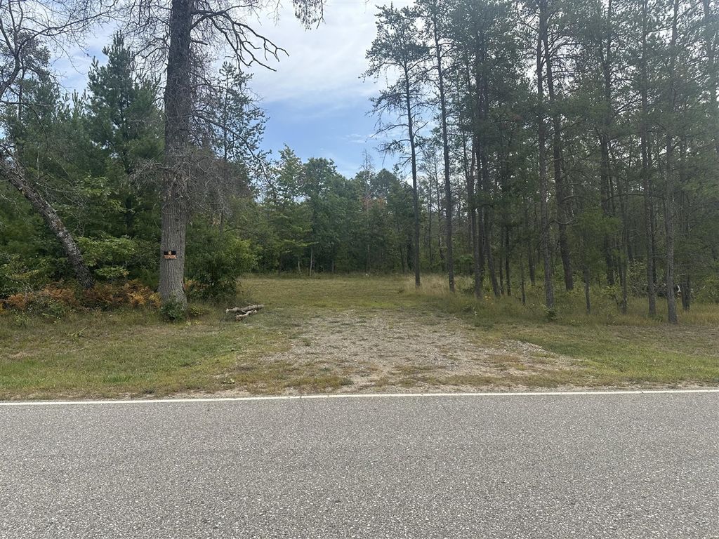 00 Spruce Road, Idlewild, MI 49642