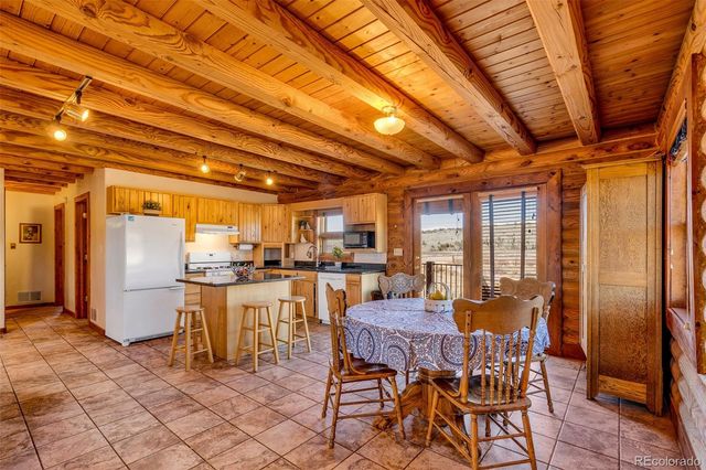 1528 Silverheels Road, Fairplay, CO 80440