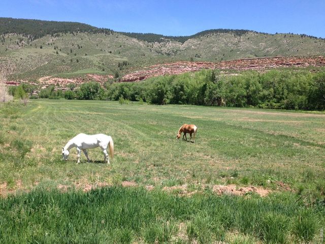 13240 Mountain Ranch Dr, Loveland, CO 80538