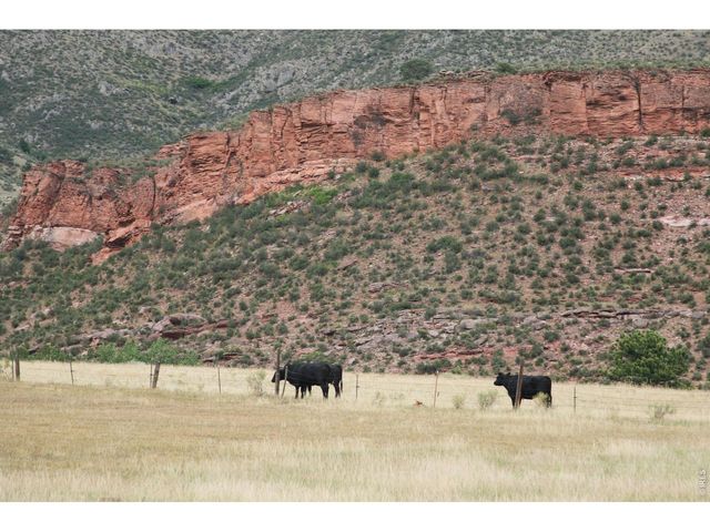 13240 Mountain Ranch Dr, Loveland, CO 80538