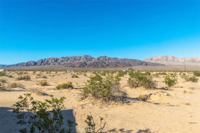 84753 Eddie Albert, 29 Palms, CA 92277