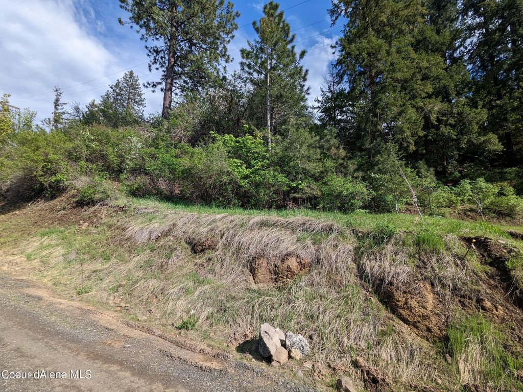 NKA N Frederick Ave Lot 60, Harrison, ID 83833 photo 3
