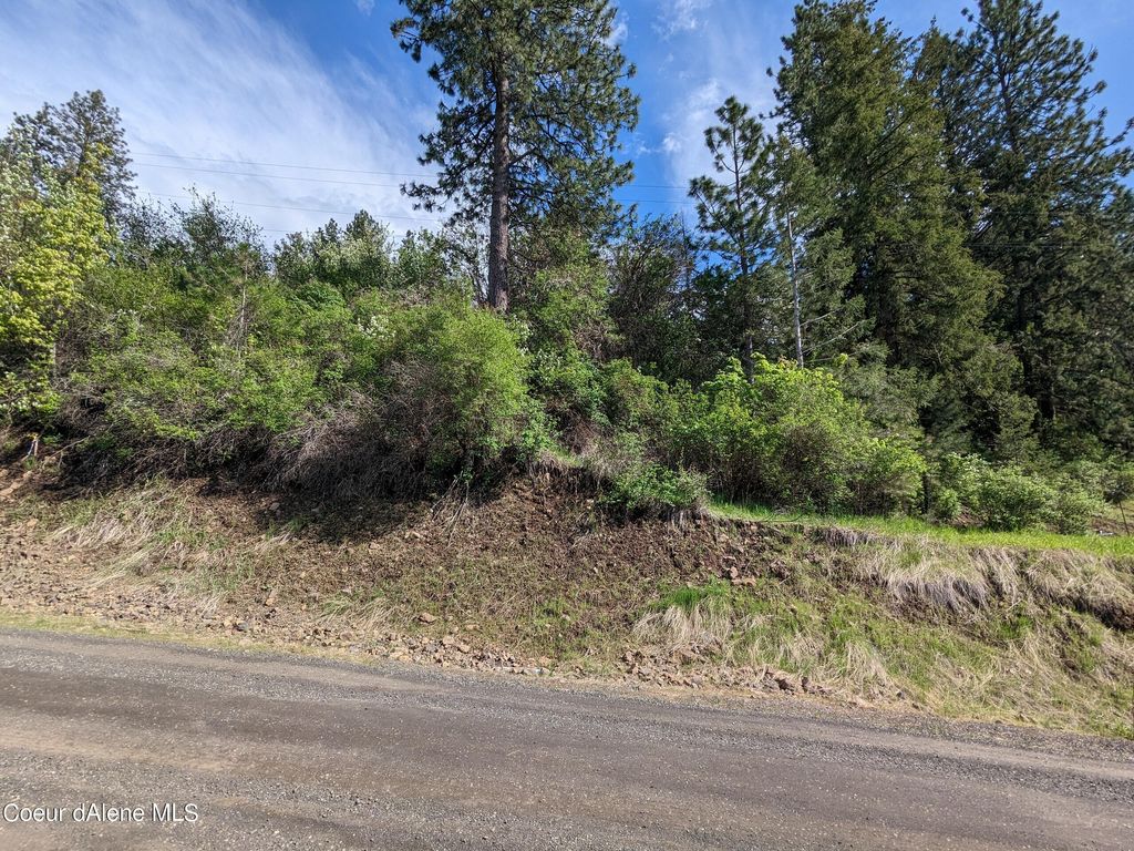 NKA N Frederick Ave Lot 60, Harrison, ID 83833 photo 4