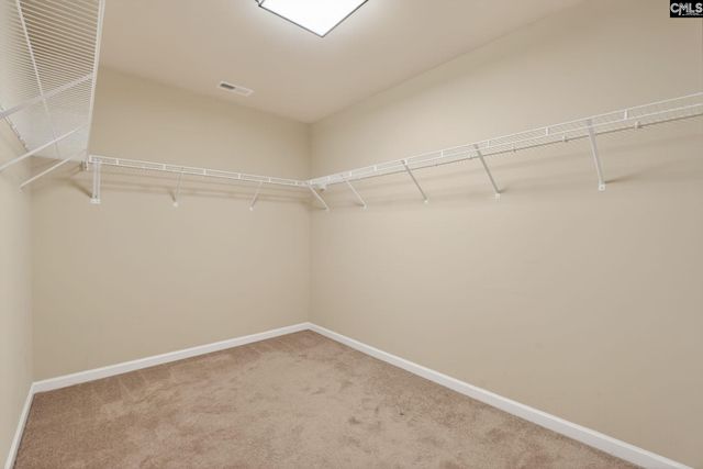 405 Eagle Claw Ct, Chapin, SC 29036