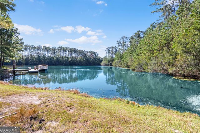 289 Heron Creek Drive, Richmond Hill, GA 31324