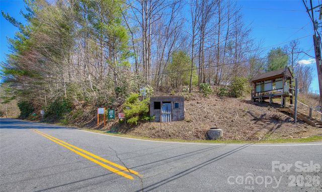 3 Altapass Trail, Spruce Pine, NC 28777