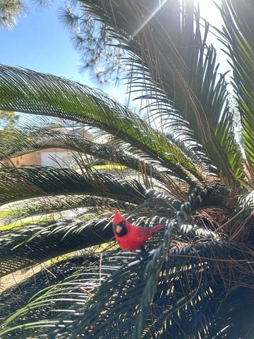 3118 Flatwood Court, Pearland, TX 77584