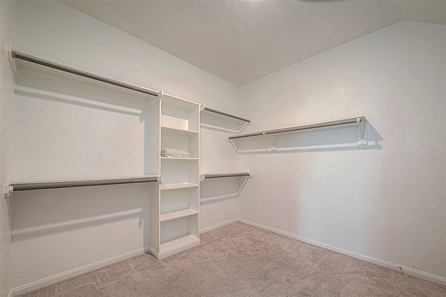 21029 Crinet Sq St, Kingwood, TX 77339