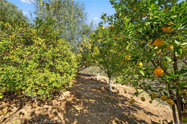 44930 Via Renaissance, Temecula, CA 92590