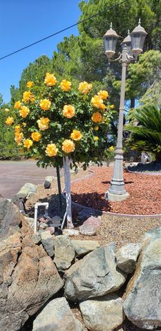 425 Lake Vista Dr, Lakeport, CA 95453