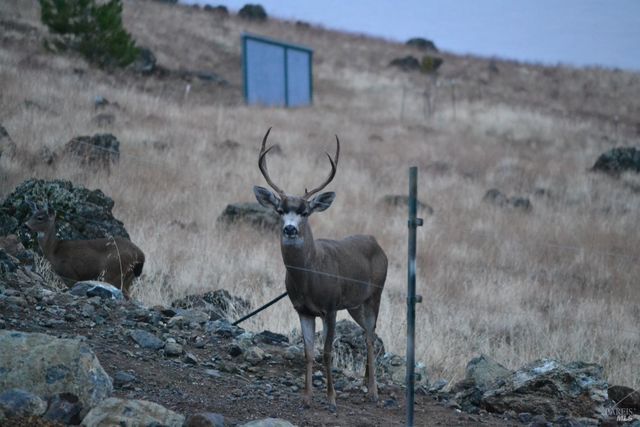 425 Lake Vista Dr, Lakeport, CA 95453