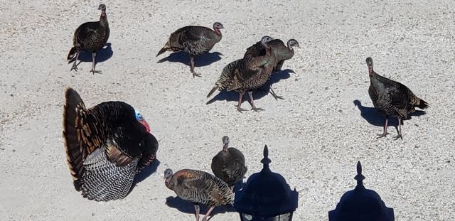 425 Lake Vista Dr, Lakeport, CA 95453