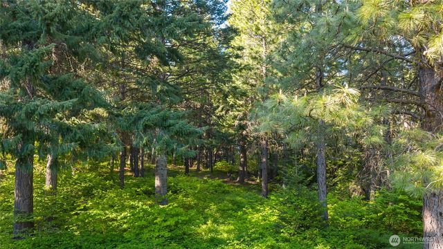 940 Iron Monarch Loop, Cle Elum, WA 98922