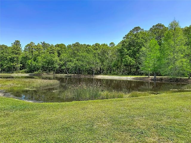 12919 FRAMINGHAM COURT, Tampa, FL 33626