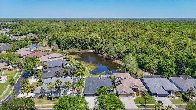 12919 FRAMINGHAM COURT, Tampa, FL 33626