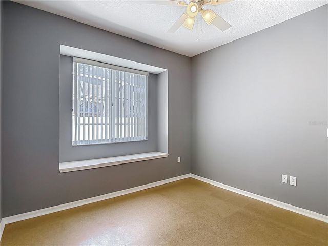 12919 FRAMINGHAM COURT, Tampa, FL 33626