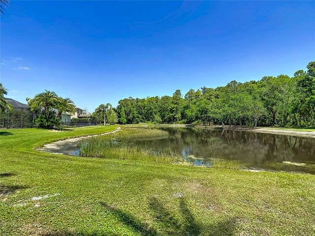 12919 FRAMINGHAM COURT, Tampa, FL 33626