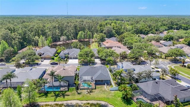 12919 FRAMINGHAM COURT, Tampa, FL 33626