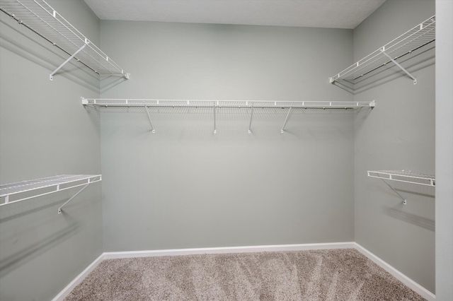 510 Avrett Court, Evans, GA 30809